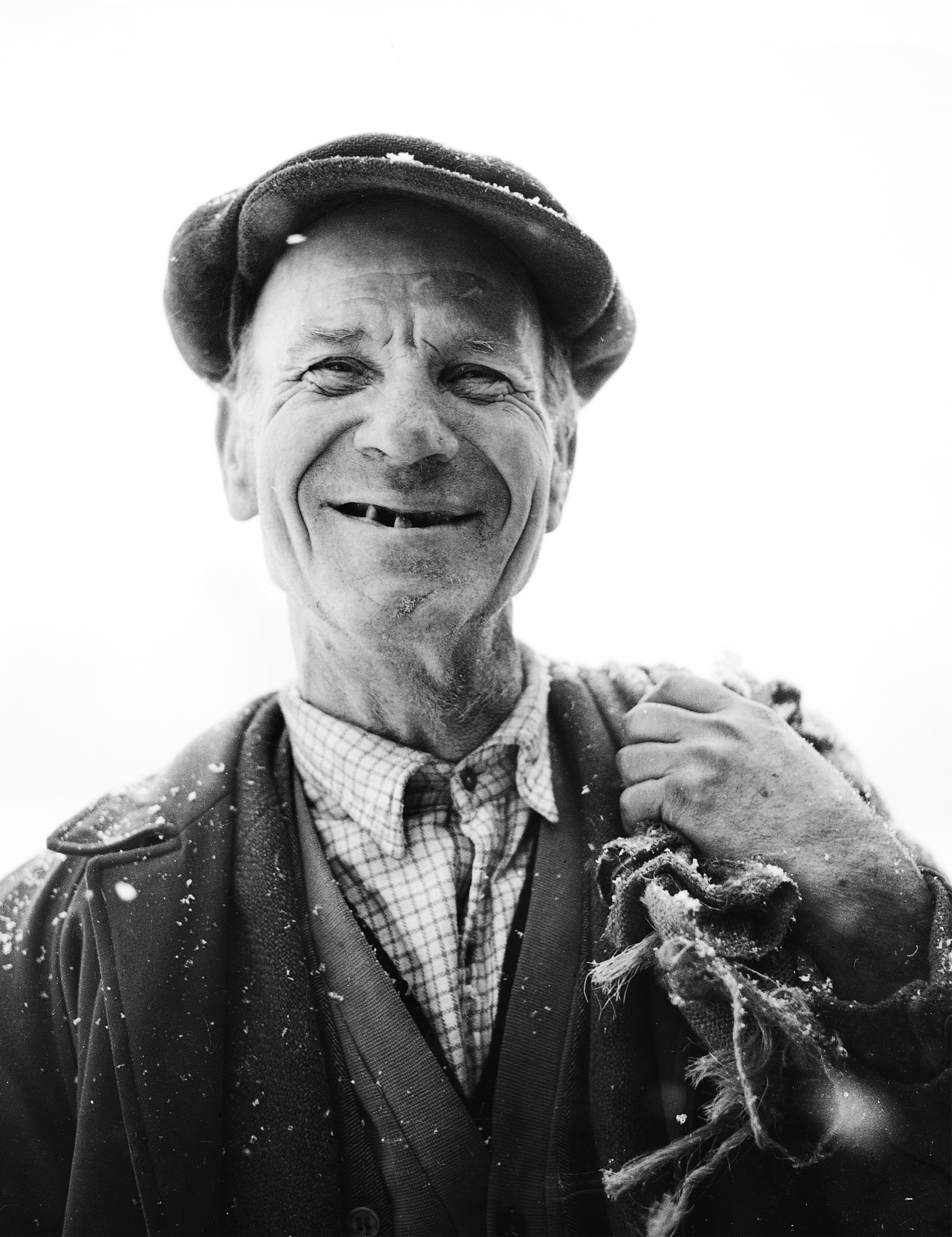 Old Bill by Ted Scott
